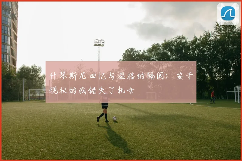 什琴斯尼回忆与温格的隔阂：安于现状的我错失了机会